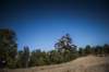 _bdf9251_small.jpg